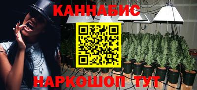 индика Абакан