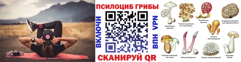 магазин продажи   Тайшет  Галлюциногенные грибы мухоморы 