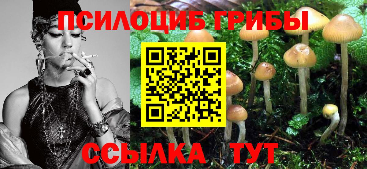 Галлюциногенные грибы ЛСД  как найти закладки  Тайшет  Галлюциногенные грибы GOLDEN TEACHER  Вход с VPN 